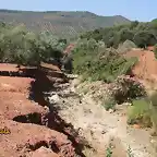 13, por debajo de peluso, marca