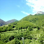 DSCN6816