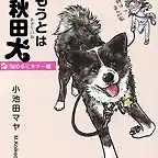 imoutowaakitainu