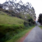 DSCN9665