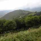 DSCN4800