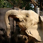 Zoo de Barcelona 30-04-11 i 01-05-11 220