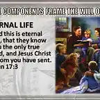 will-of-god-is-eternal-life