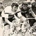 1977-MAERTENS-MERCKX