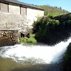 DSCN5039