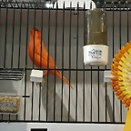 IMG_20170122_123623