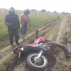 WP_003688