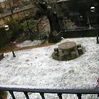 DSCN7519