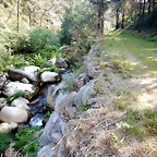 DSCN5694