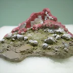 DSCN2188