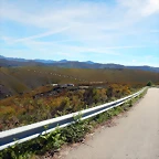 DSCN1012