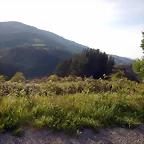 DSCN2128