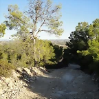 DSC00429