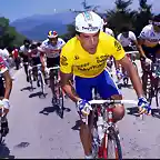 Perico-Vuelta1989-Pino