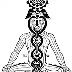 kundalini_caduceo