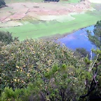 DSCN5538