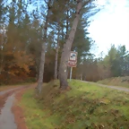 DSCN9367