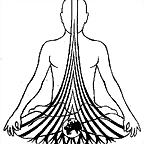 chakra1