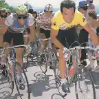 TDF-1985-HINAULT-ANDERSE-LEMOND-HERRERA.