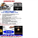 Presentacin2cartel2012