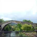 DSCN5678