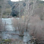 DSCN8126