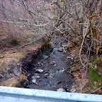 DSCN4040