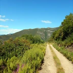 DSCN4036