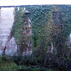 DSCN7193