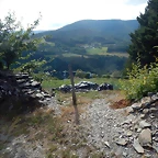 DSCN4401