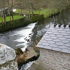 DSCN5647