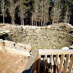 DSCN1575
