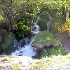 DSCN5152