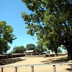 DSCN4924