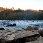 DSCN9007