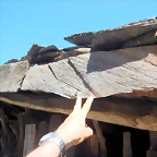 DSCN7781