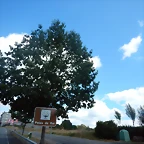 DSCN9027