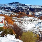 DSCN9086