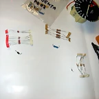 DSCN4621