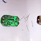 DSCN4630