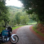 DSCN5335
