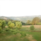 DSCN8813