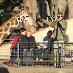 Zoo de Barcelona 03-01-12 162