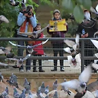 Zoo de Barcelona 03-01-12 331