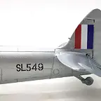 SDC39541