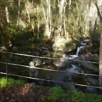 DSCN4446
