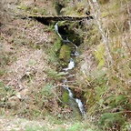 DSCN4827