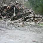 DSCN8167