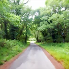 DSCN5219