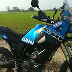 TENERE